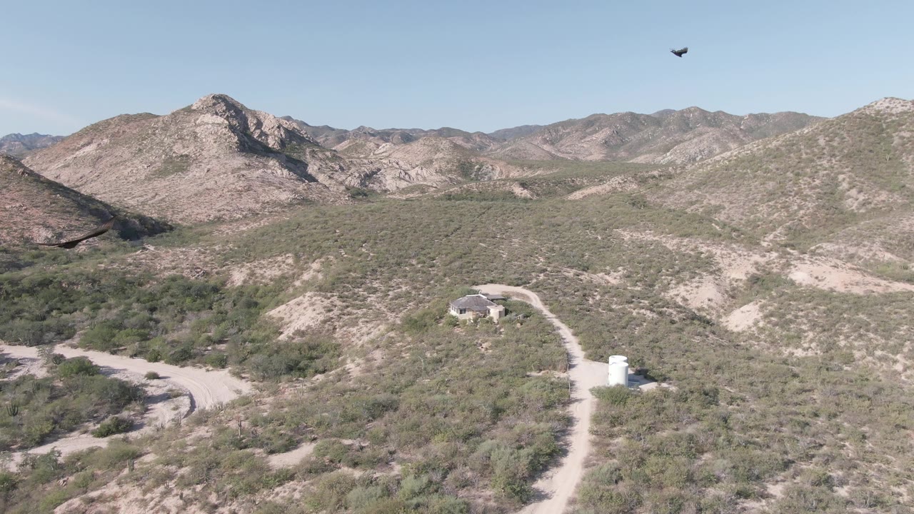 At 0:02, the eagle is near the upper right of the frame above a Cabo Pulmo desert panorama of scrub, pale dirt roads, small structures, and distant mountains with no visible people.