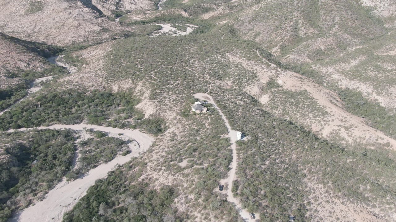 Aerial view over Cabo Pulmo hills with a pale dirt road at the lower edge, darker green vegetation in ravines, and dry scrub across the slopes, with no visible people.