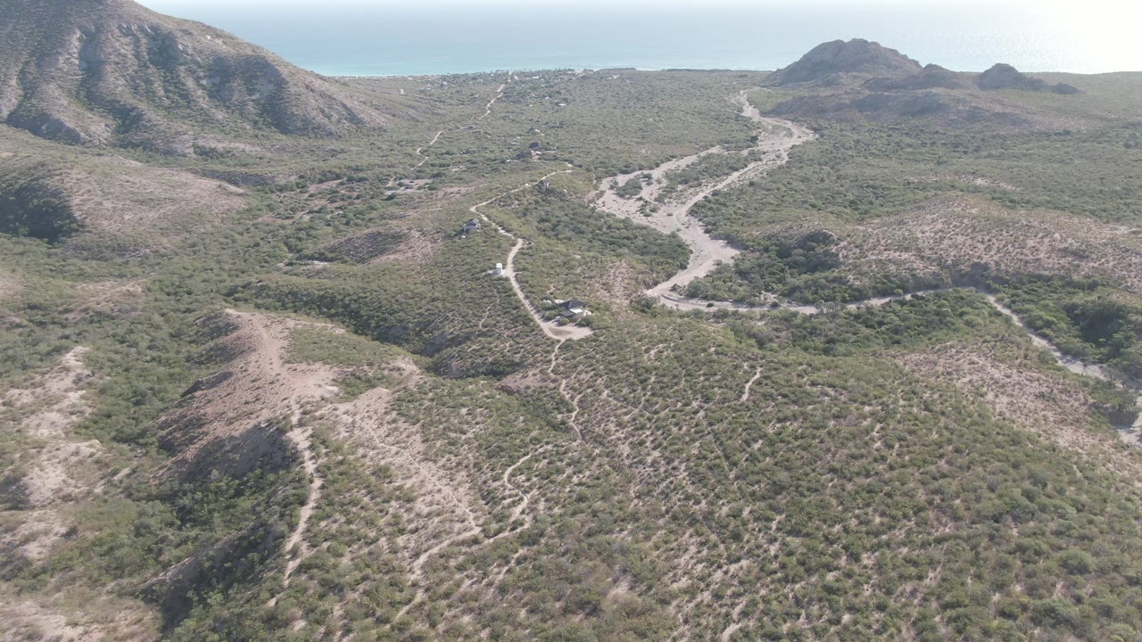 Aerial view in Cabo Pulmo, Baja California Sur, showing a pale dirt road winding through scrub-covered hills toward distant rounded mountains, with no visible people.