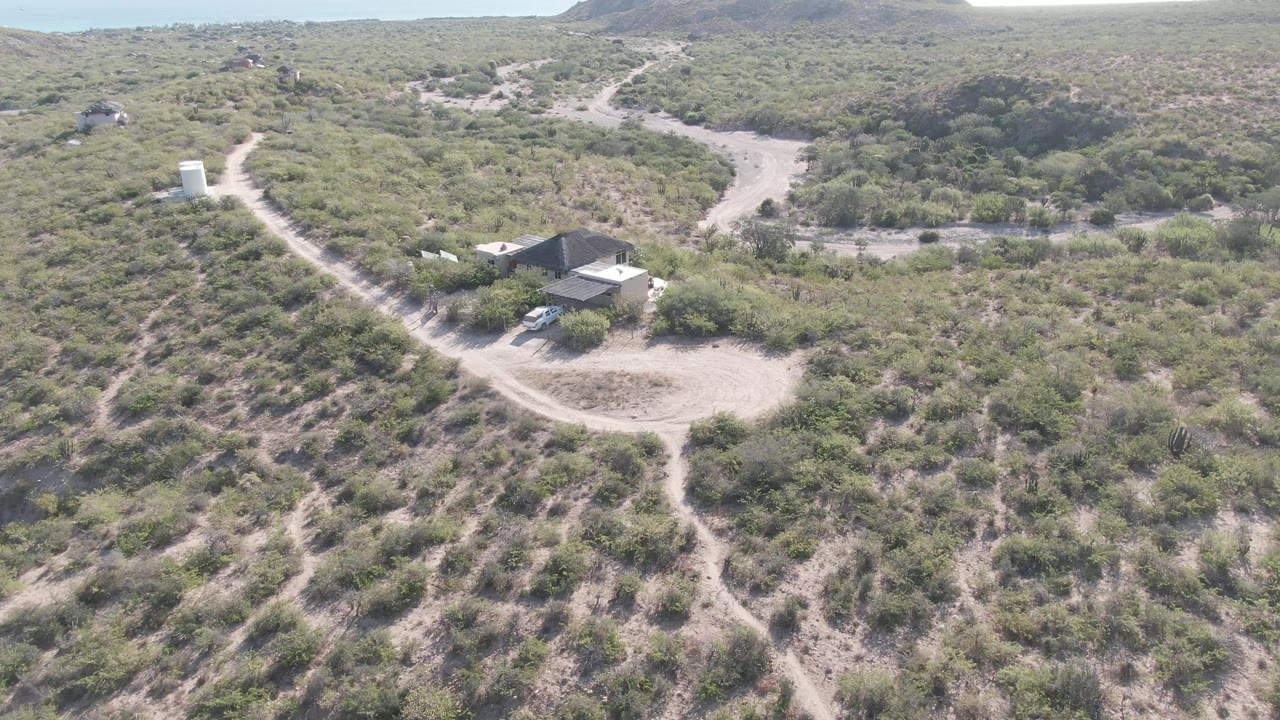 High drone view over Cabo Pulmo desert shrubs with a small house, looping dirt driveway, pale roads, and no visible people.