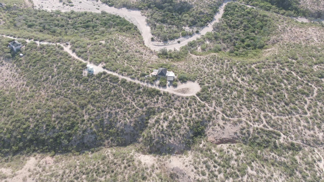 A high aerial view over Cabo Pulmo shows vehicles on or near a winding dirt road, with branching tracks, low green vegetation, tan soil, and no visible people.