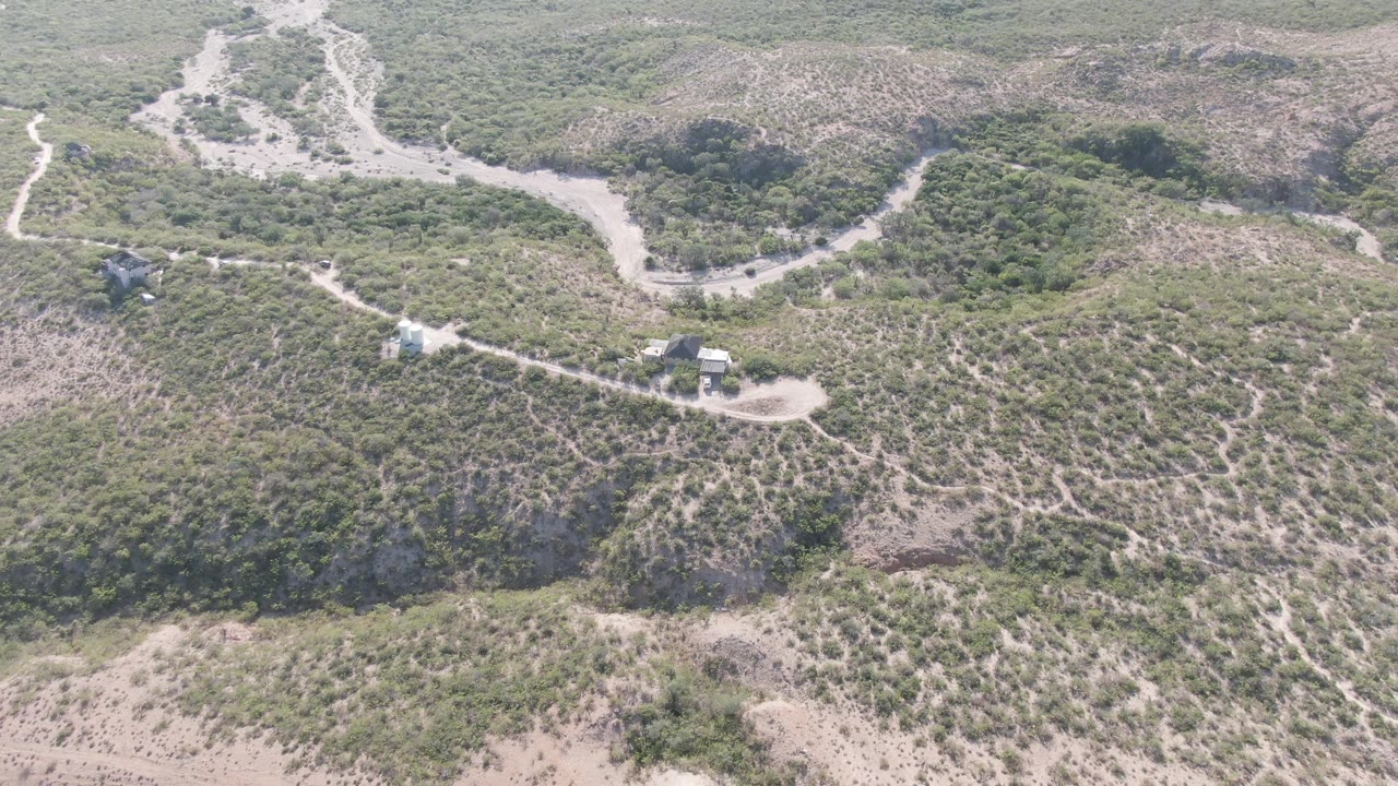 High aerial view in Cabo Pulmo showing branching dirt tracks across green and tan hillsides, a small building cluster beside the path, and no visible people.