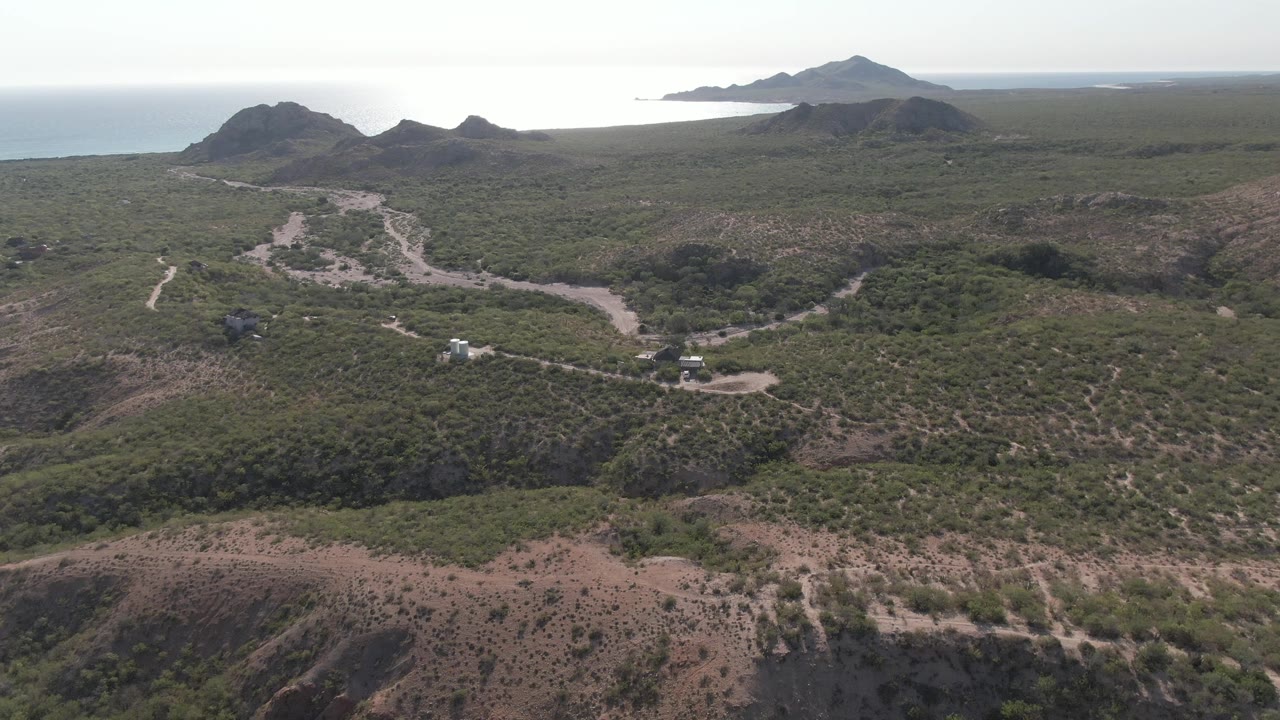 Aerial view in Cabo Pulmo with branching dirt tracks and small vehicles set among green brush, dry gullies, distant hills, and a hazy sea horizon, with no visible people.