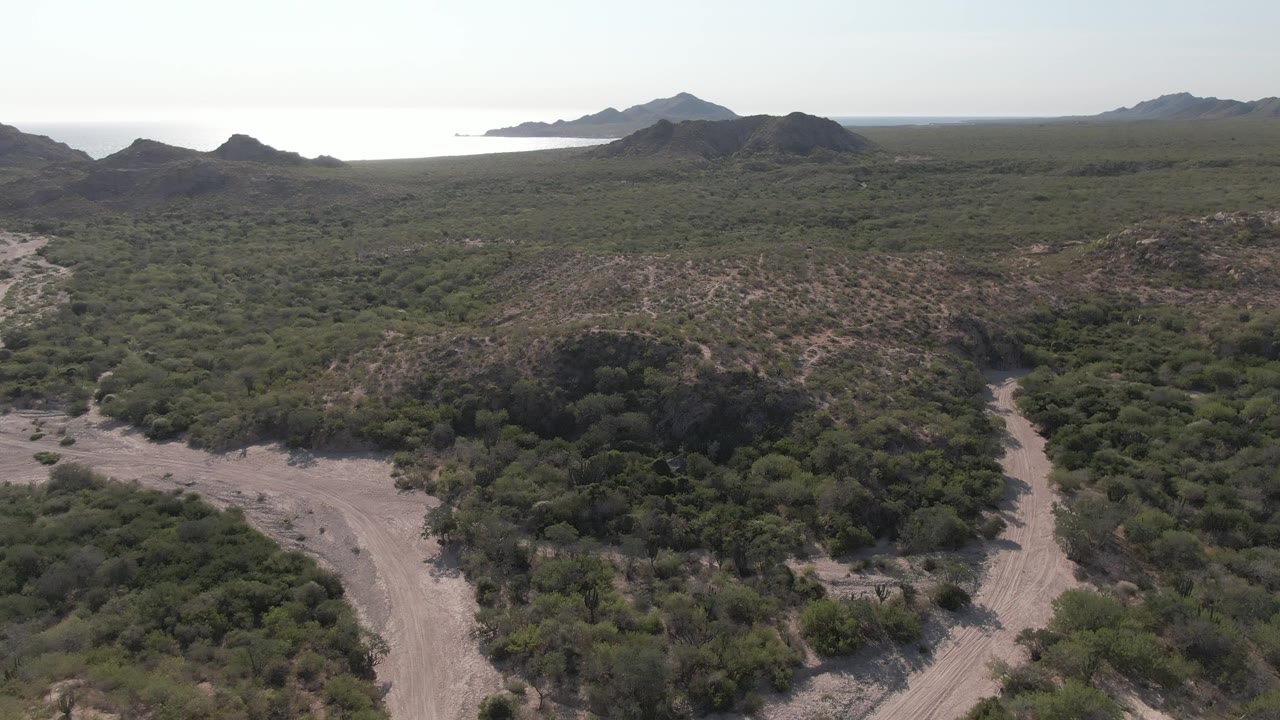 A curved dirt track wraps around dense green brush in Cabo Pulmo, with low mountains and a bright strip of ocean across the upper background and no visible people.
