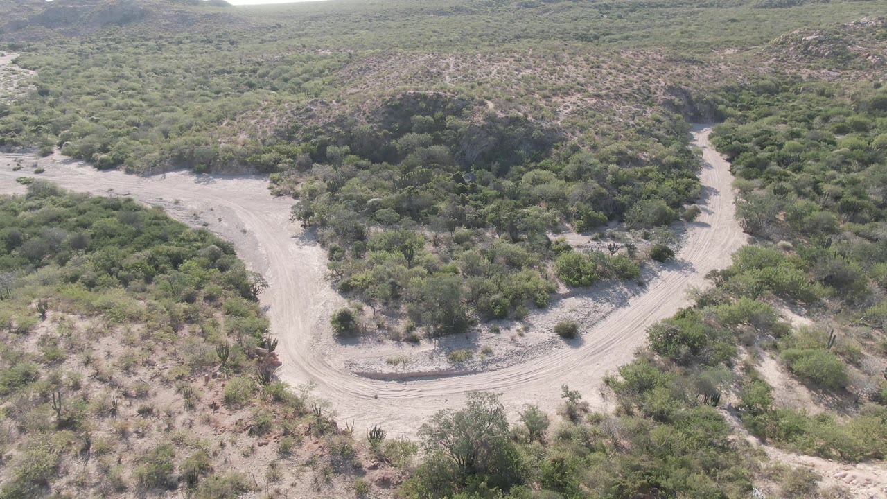 Aerial view in Cabo Pulmo, Baja California Sur showing a pale dirt road curving through dry scrub and low green vegetation, with no visible people.