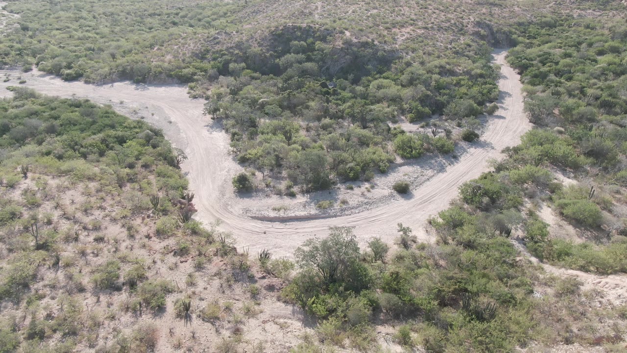Aerial Cabo Pulmo frame with the pale road sweeping across the lower half of the view and thicker green bushes covering the upper terrain, with no visible people.