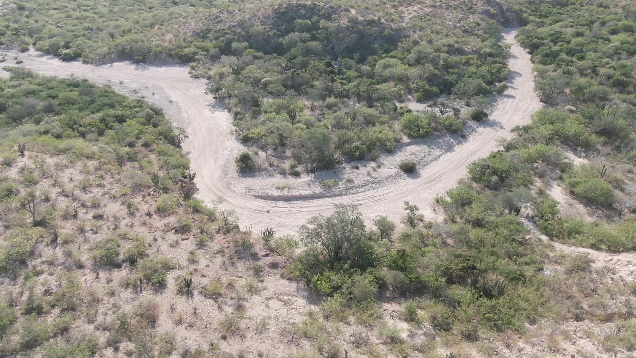 Dirt road bend surrounded by bushes and sandy terrain