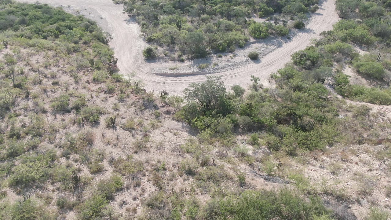 Overhead Cabo Pulmo view with a pale winding dirt road crossing dry scrubland, scattered shrubs, and no visible people.