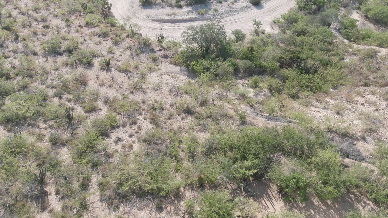 Overhead desert terrain with road tracks and shrubs