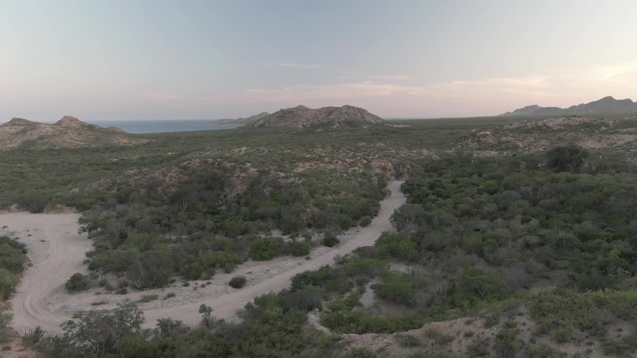 Cabo Pulmo aerial frame with the sandy road bending along dense green vegetation, rocky ridges in the background, and no visible people.