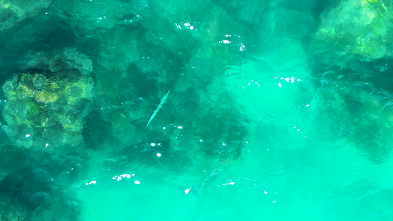 A top-down frame from Punta Buzzards shows bright aqua water, dark underwater rock clusters, yellow-green seaweed tones, surface sparkle, and no visible people.