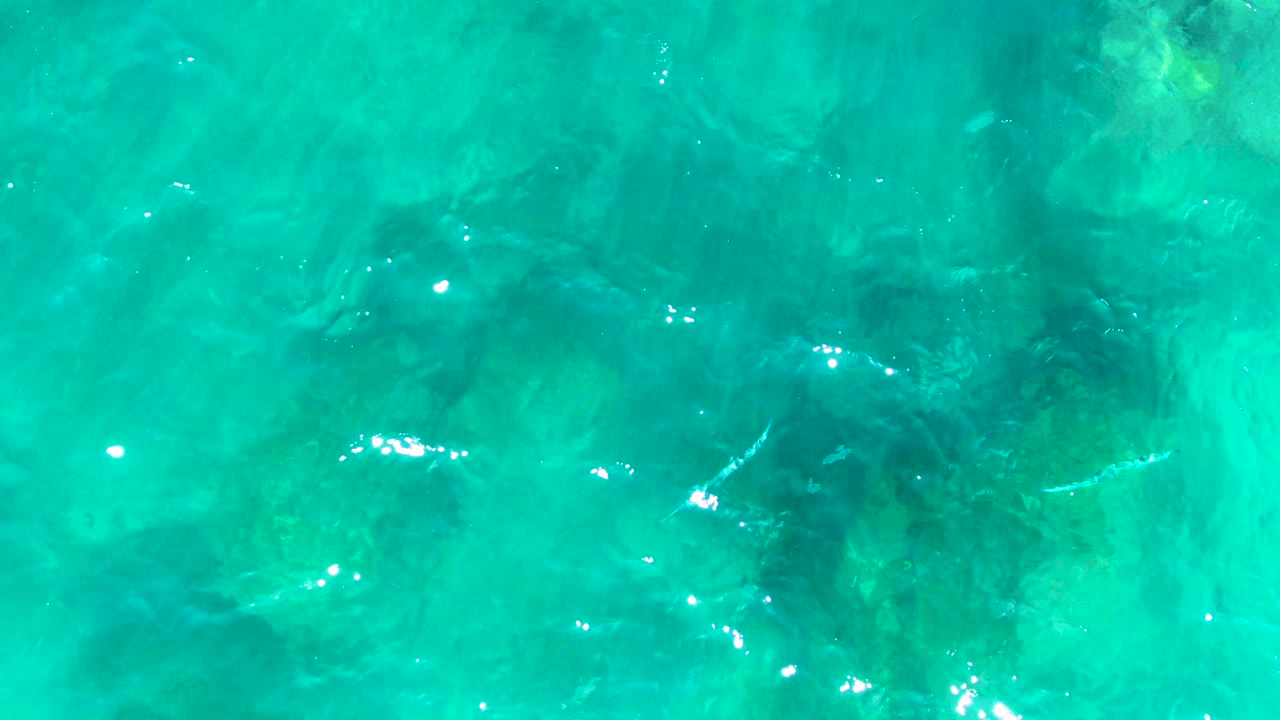 Clear teal ocean water at Punta Buzzards shows darker submerged rock patches under a lightly rippled surface with no visible people.