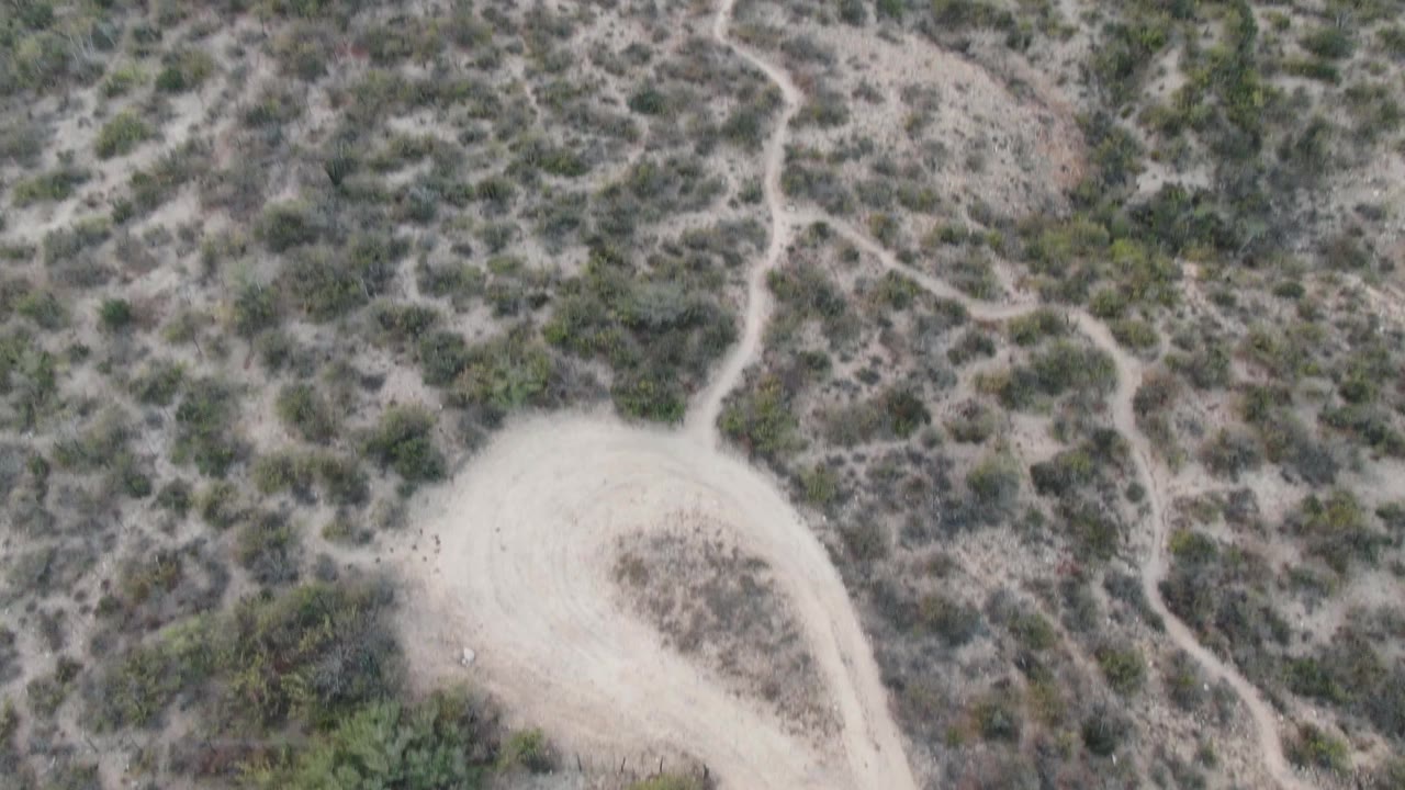 High aerial frame in Cabo Pulmo showing a pale loop in the dirt road surrounded by gray-brown desert scrub and crossing footpaths, no visible people.