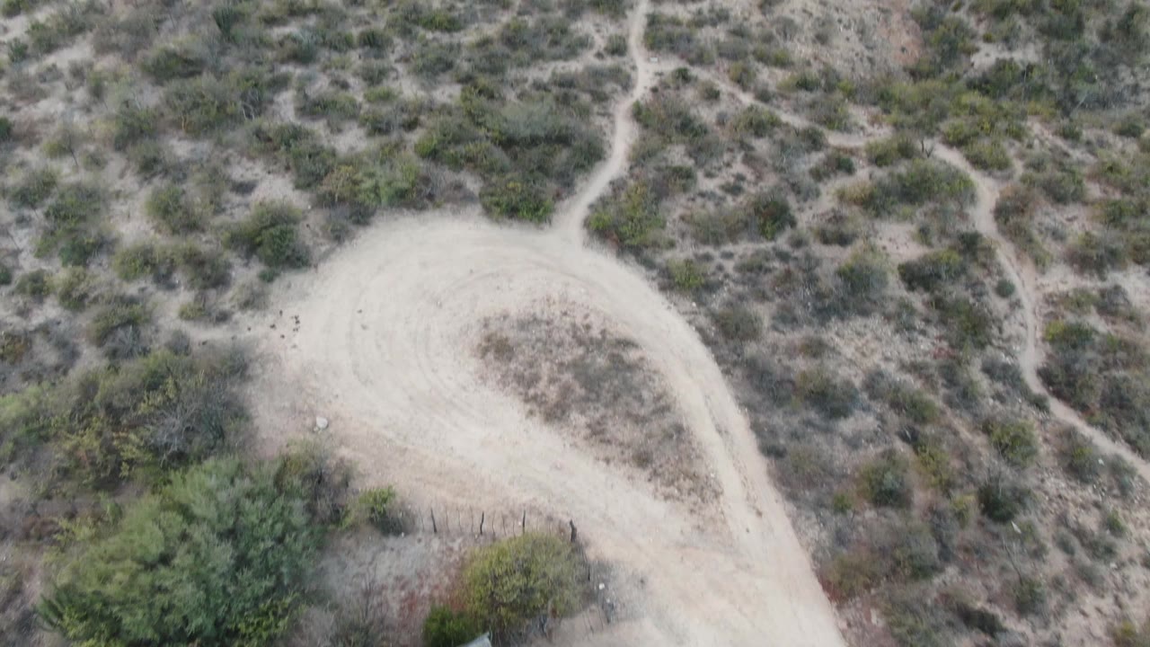 Top-down Cabo Pulmo frame showing a broad pale dirt loop surrounded by gray-green desert scrub, with the building and car no longer visible and no visible people.