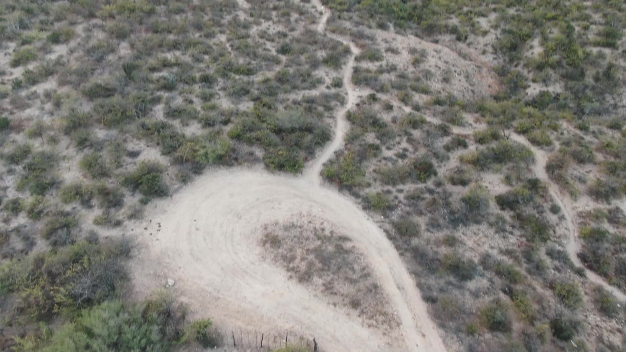 Aerial view over Cabo Pulmo dry bushland with a pale road curve filling the lower frame, scrub-covered slope above, narrow paths, and no visible people.