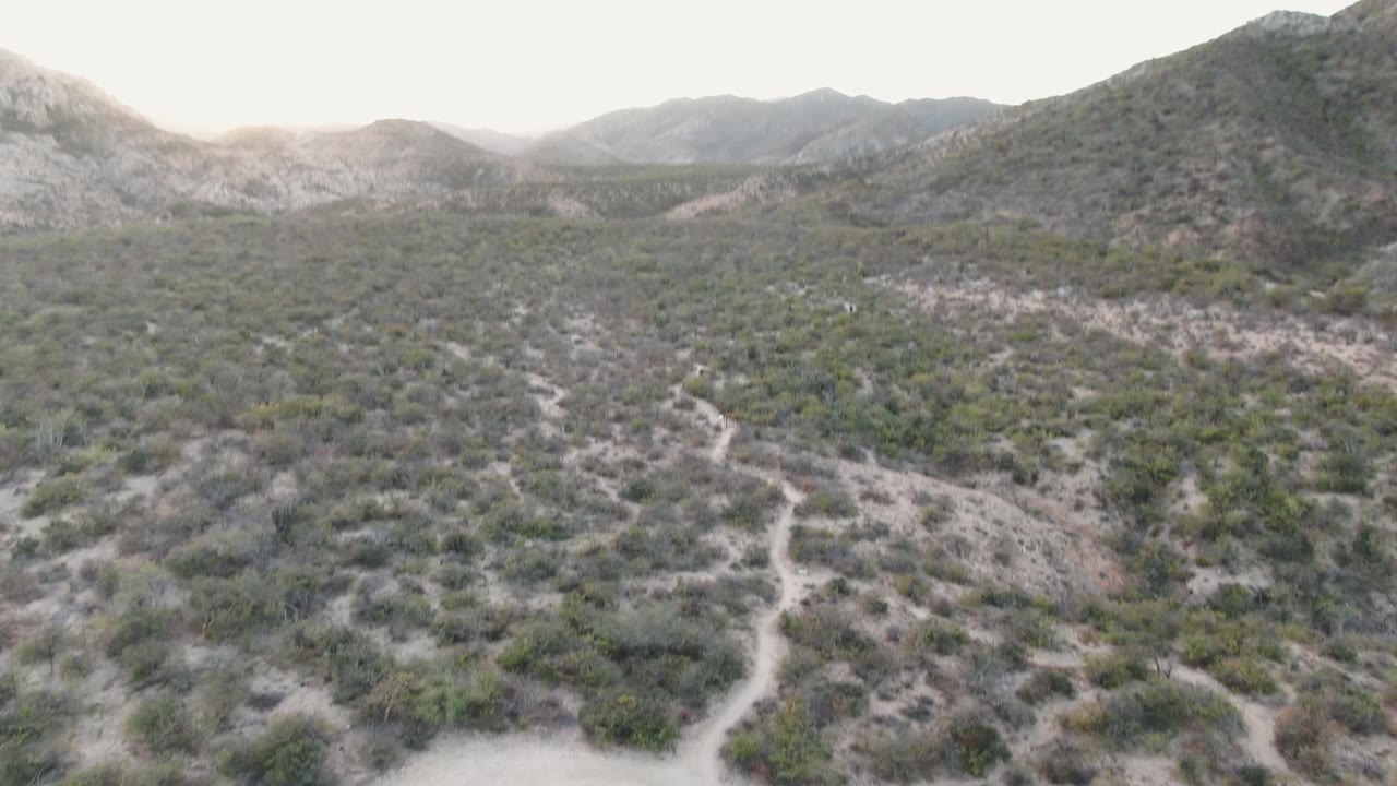 Aerial frame over Cabo Pulmo desert scrub with pale dirt tracks leading toward low mountains and no visible people.