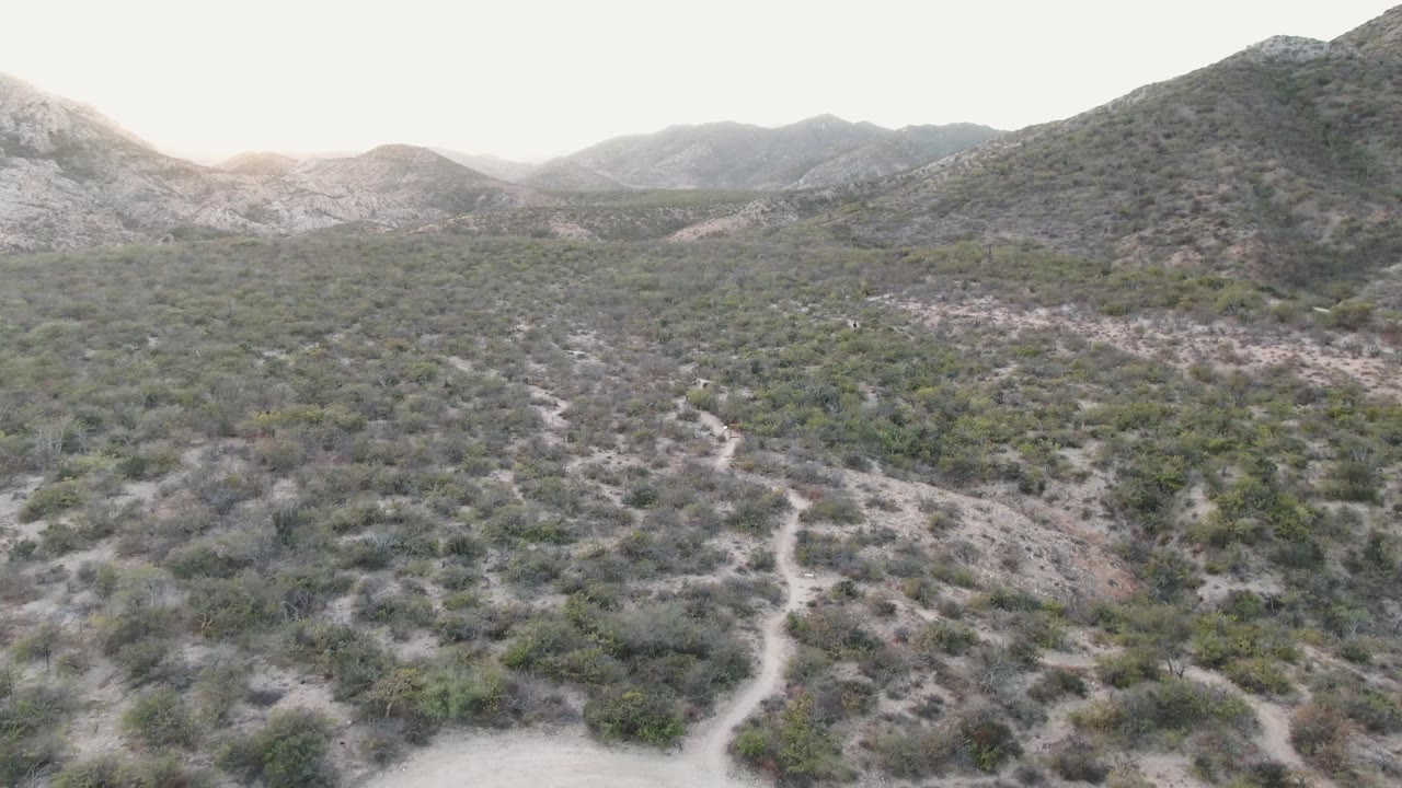 Drone view across sparse desert vegetation with hills on the horizon.