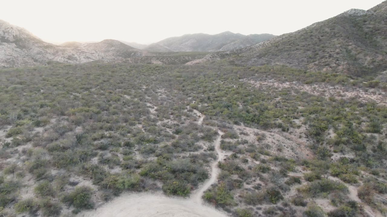 Forward-looking aerial over Cabo Pulmo scrubland where a pale winding track crosses the lower hillside beneath rounded mountains, with no visible people.