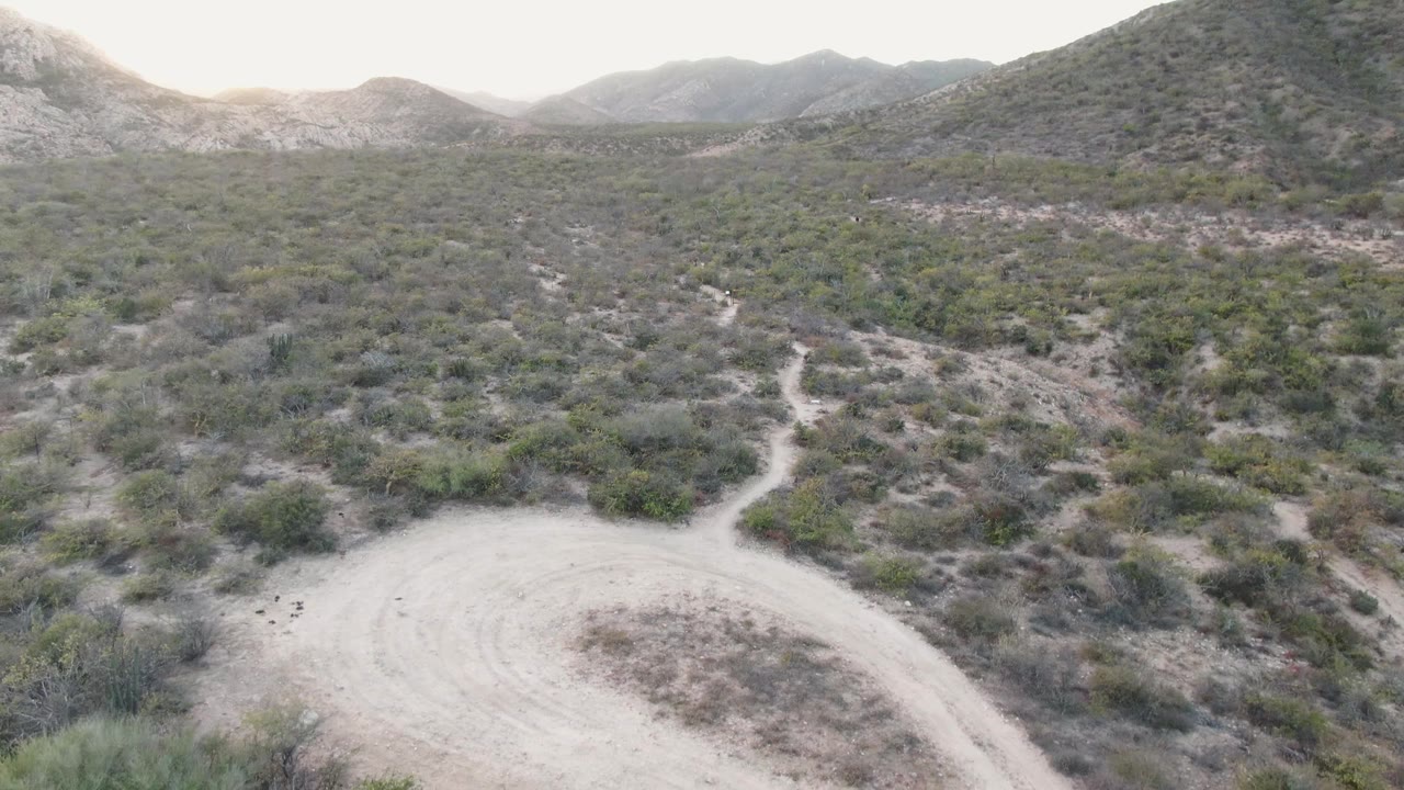 Aerial view over Cabo Pulmo scrubland where a winding dirt track runs from the lower frame into low desert hills, with no visible people.