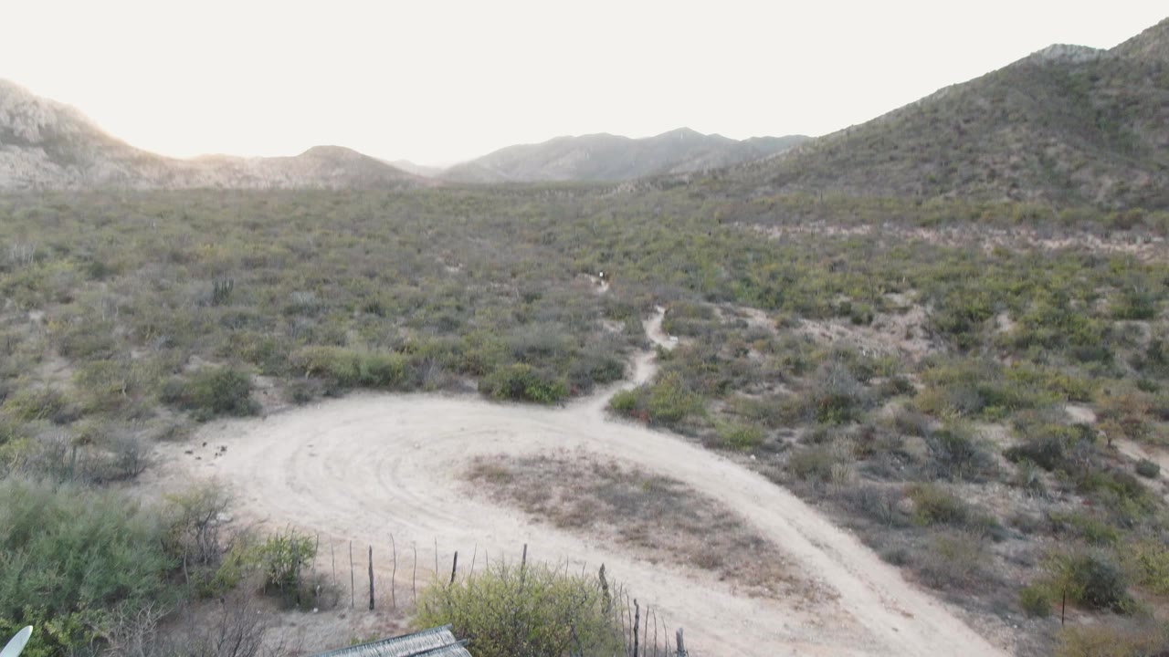 Elevated view of a pale dirt road curving through Cabo Pulmo desert scrub with low mountains in the background and no visible people.