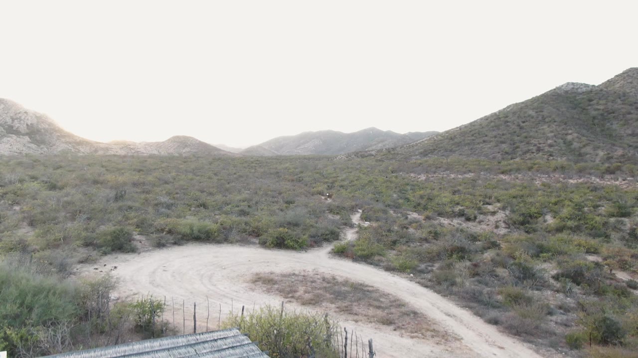 A winding dirt road crosses Cabo Pulmo desert vegetation with a short fence line near the lower edge and mountains receding behind it, no visible people.