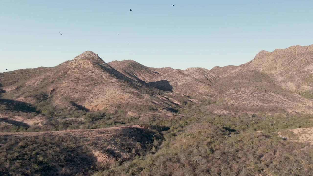 Elevated Cabo Pulmo mountain view with rocky brown hills, dry green brush in the valley, a small bird high in the pale sky, and no visible people.