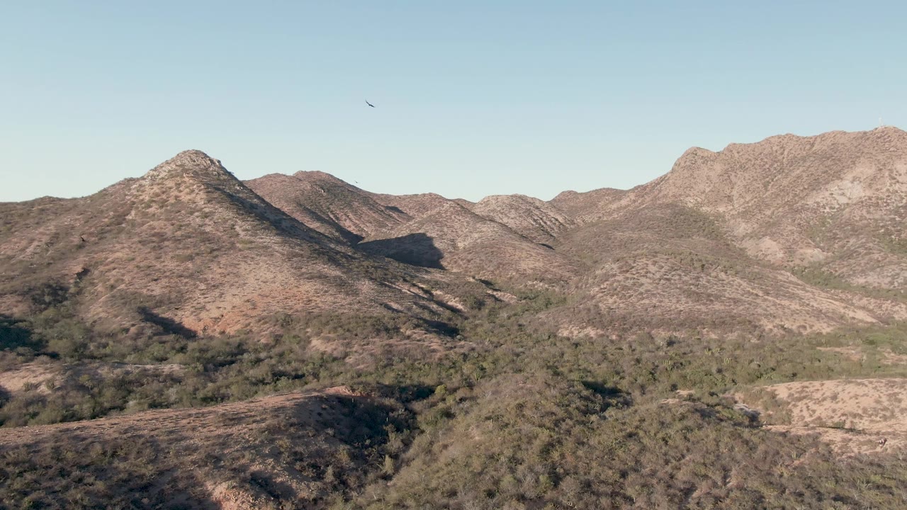 Dry mountain landscape with a bird near the upper sky.