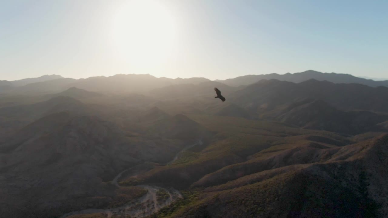 An eagle silhouette crosses a bright sunlit mountain valley in Cabo Pulmo, Baja California Sur, with layered ridges, dry hills, a winding dirt road, and no visible people.