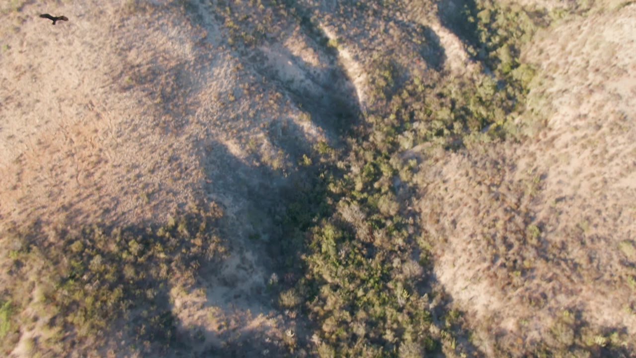 Downward aerial frame of tan Cabo Pulmo ridges with darker gullies, scattered shrubs, and no visible people.