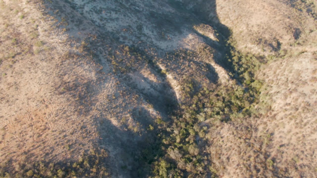 Aerial view across arid Cabo Pulmo slopes with brushy drainage lines, strong hill shadows, and no visible people.
