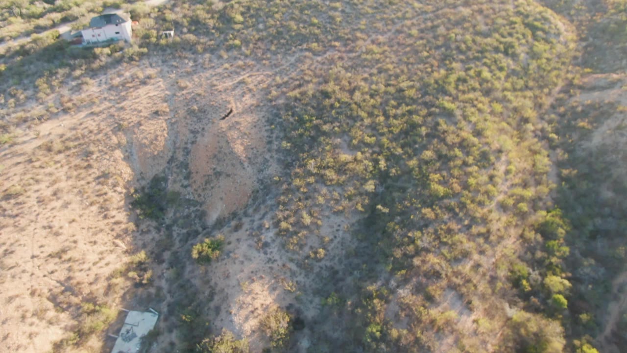 Aerial frame over Cabo Pulmo dry hillside terrain, showing brushy slopes, erosion lines, a dirt path, a small building near the upper right, and no visible people.