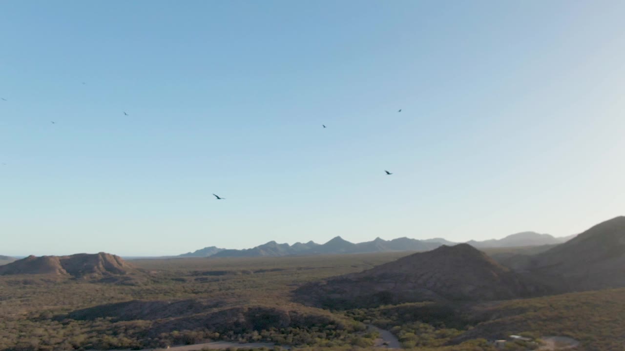 Wide aerial view over Cabo Pulmo desert hills and distant mountain ridges under a clear blue sky, with several birds visible and no visible people.