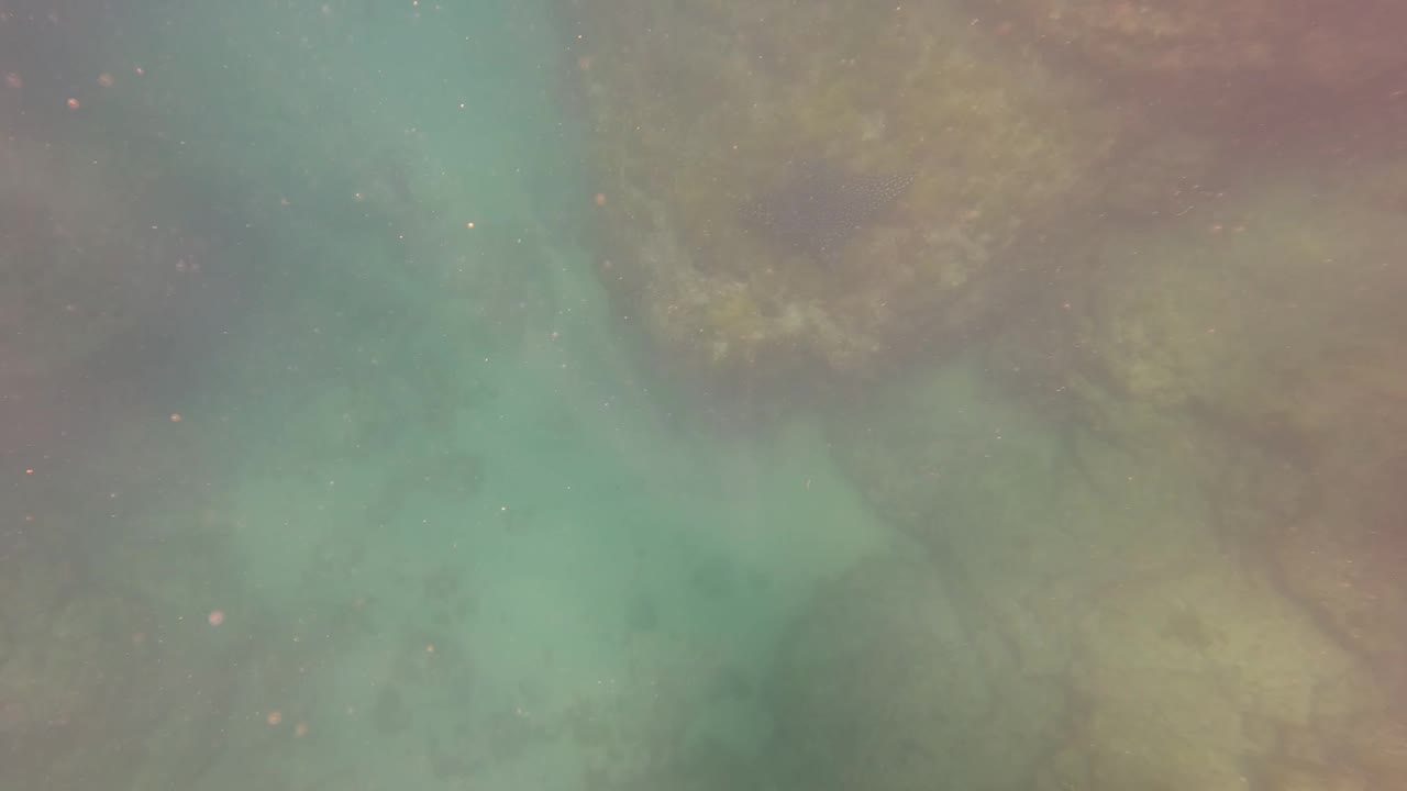 Turquoise water covers a rocky seabed with soft suspended particles in San Jose Del Cabo, Mexico, with no visible people.