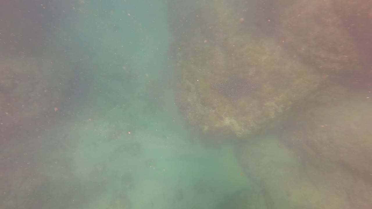 A hazy blue-green underwater view shows rock formations and marine growth beneath floating particles in San Jose Del Cabo, Mexico, with no visible people.