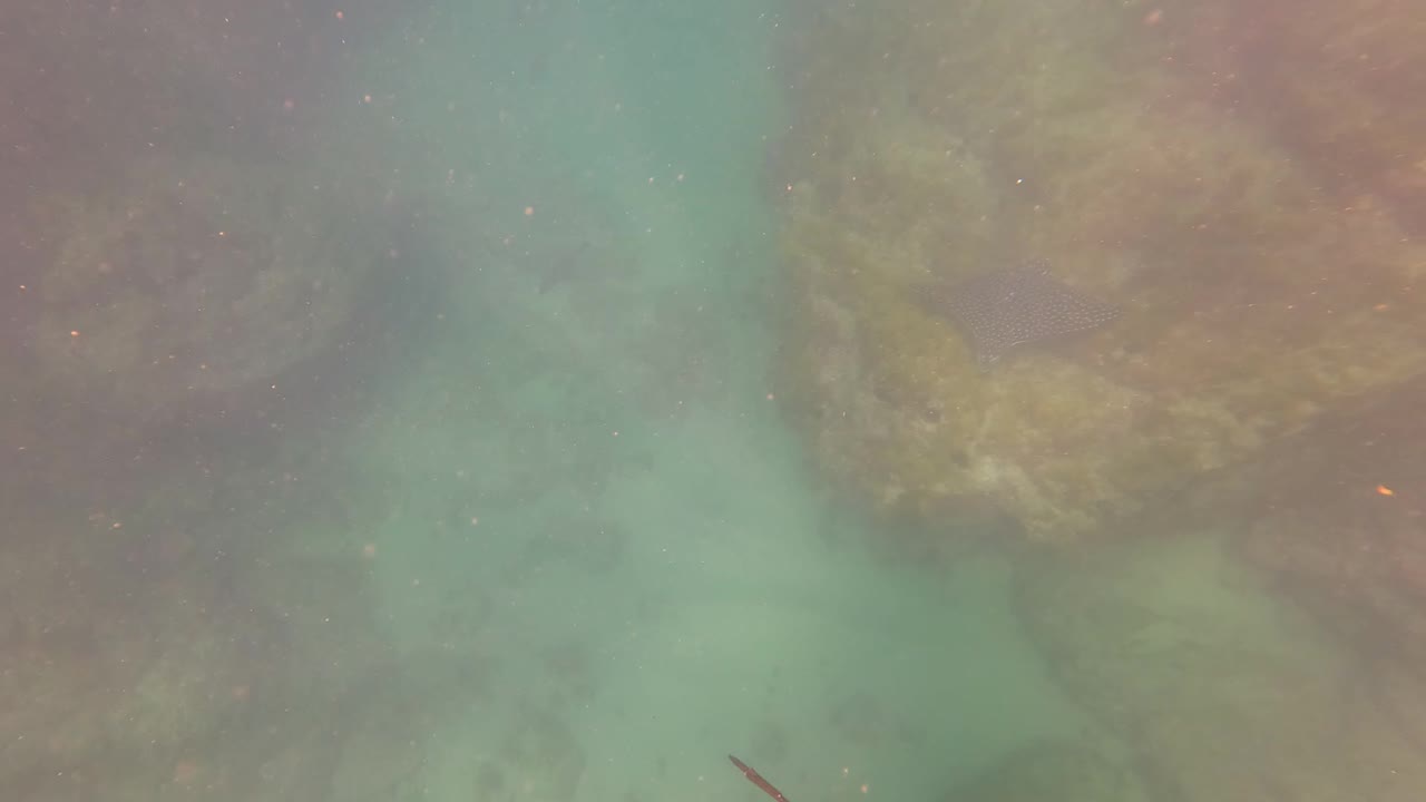Rock edges and pale turquoise water fill the frame in San Jose Del Cabo, Mexico, with a small dark fragment in the water and no visible people.