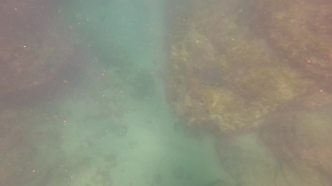 Close underwater view of rocks and cloudy turquoise water