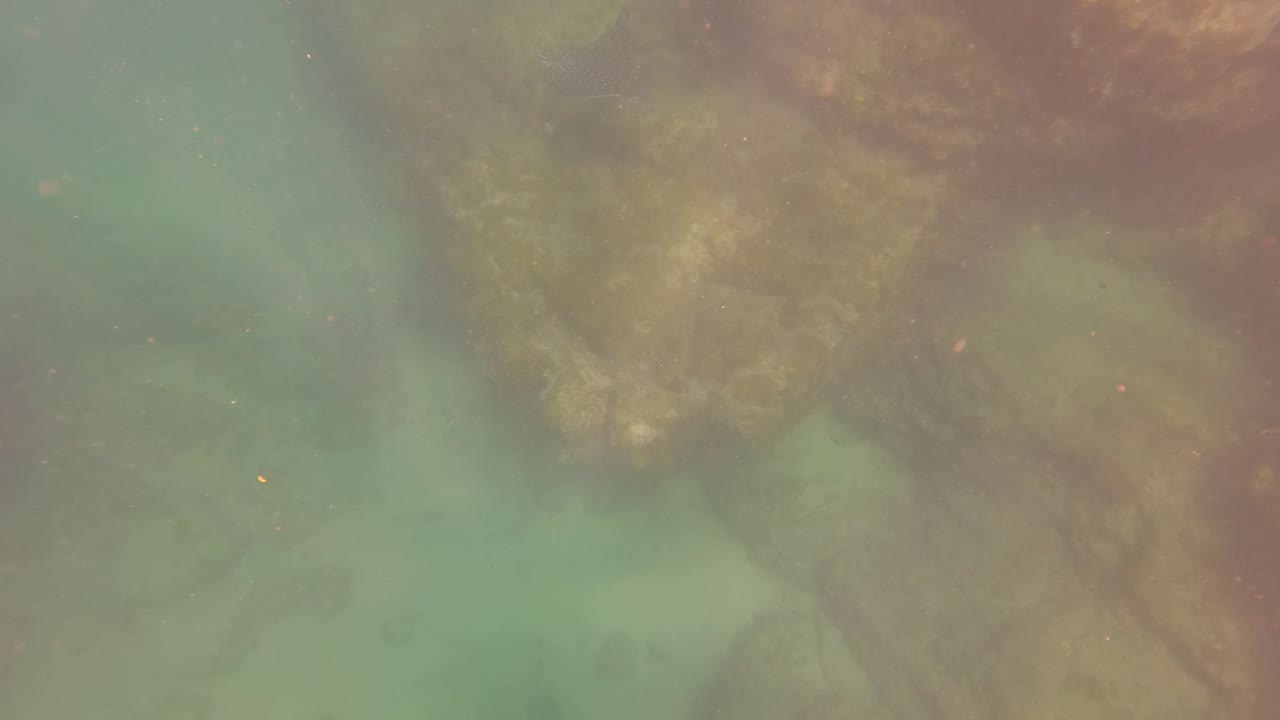 San Jose Del Cabo underwater frame showing cloudy turquoise water over brown algae-covered rocks, suspended particles, and no visible people.