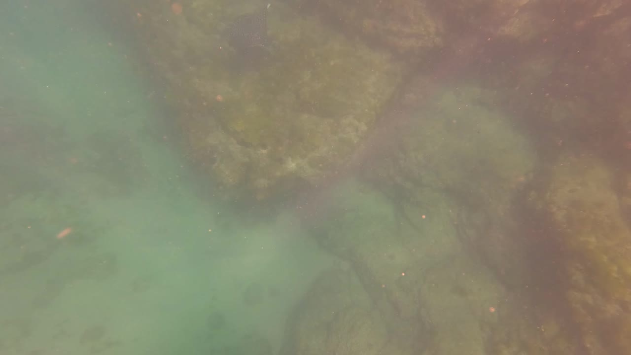 San Jose Del Cabo underwater frame with the rock ledge higher in frame, pale turquoise water below, fine floating particles, and no visible people.
