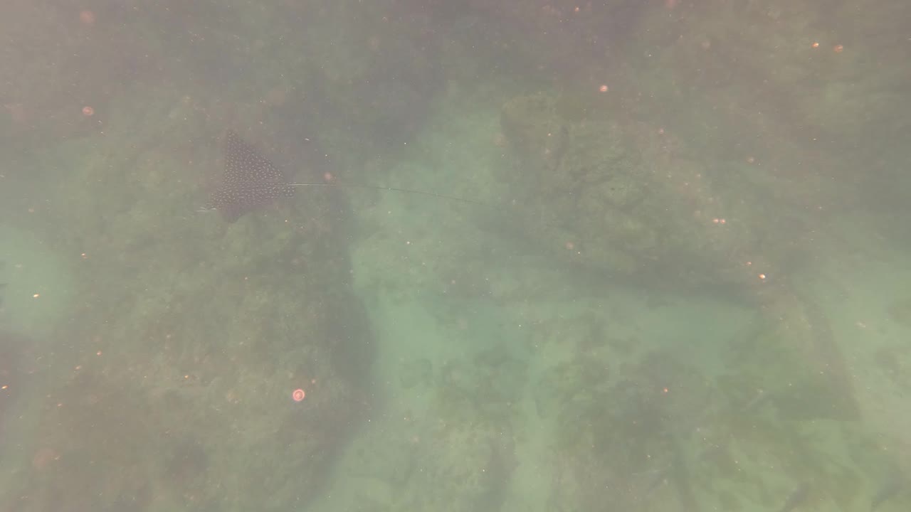 The San Jose del Cabo ocean floor appears as pale and dark rock shapes under hazy green-blue water, with drifting particles and no visible people.