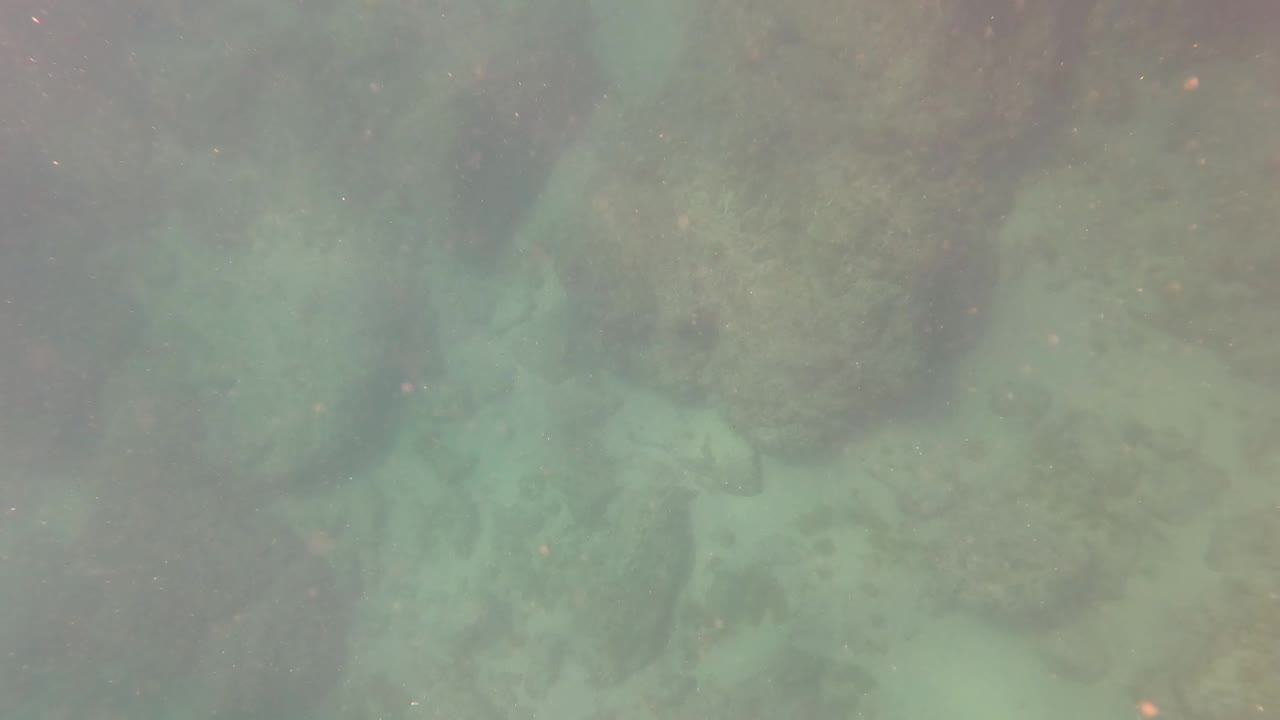 Greenish underwater view of rocks and suspended particles