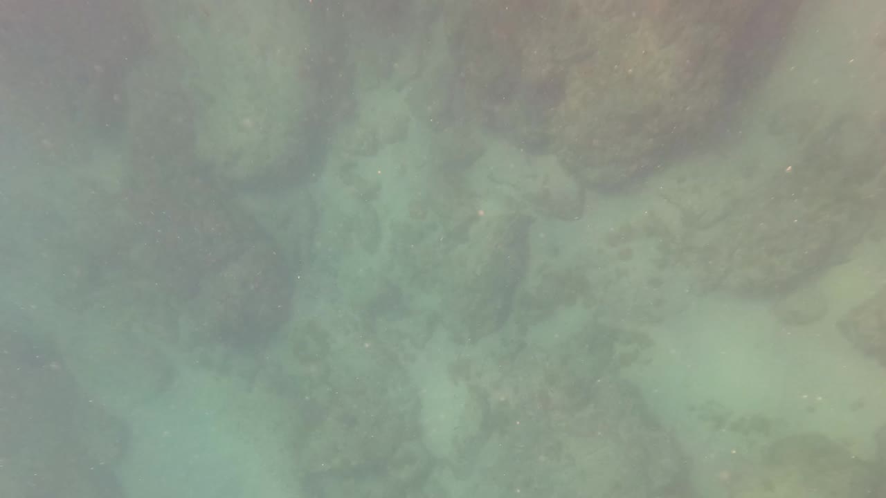 San Jose del Cabo underwater frame with dark rocks near the top of view, pale seabed below, drifting particles, and no visible people.