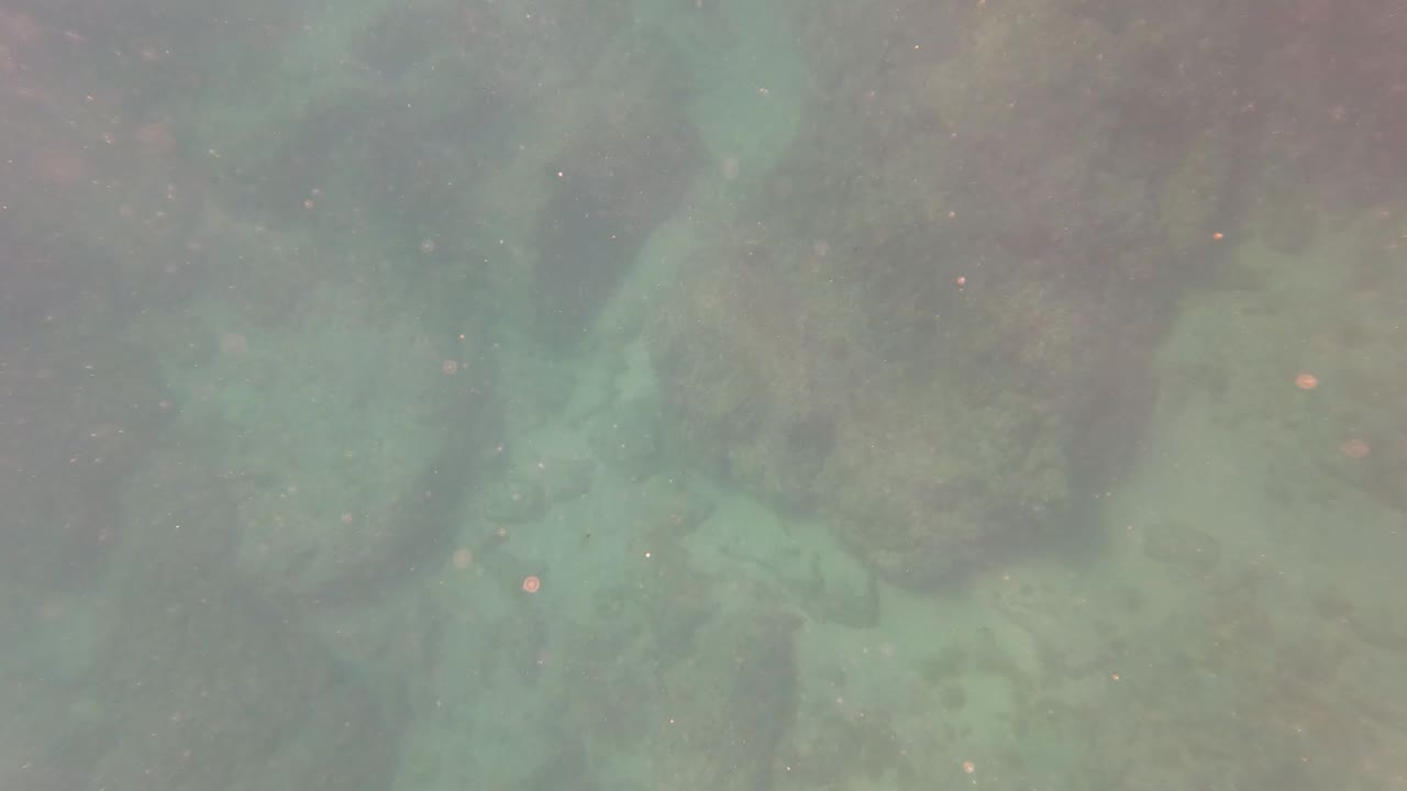 Mid-clip underwater view in San Jose del Cabo with rock clusters, pale sandy areas, green water tint, small particles, and no visible people.