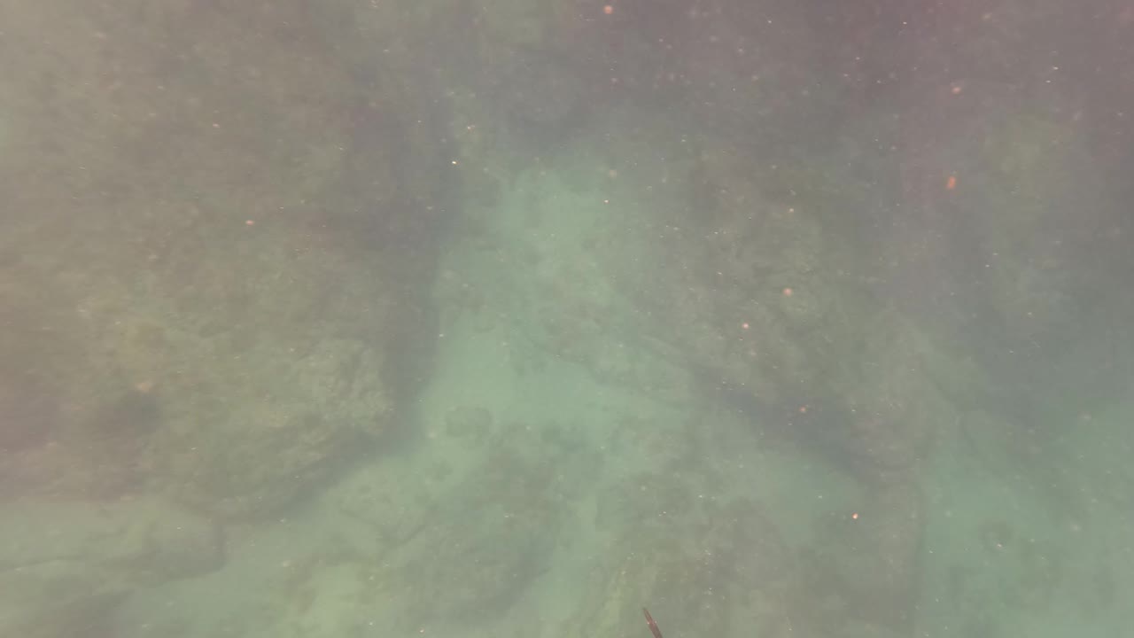 San Jose del Cabo underwater frame with larger rock forms in the lower view, cloudy green water, suspended specks, and no visible people.