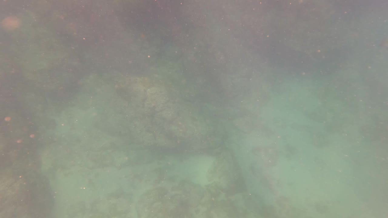 Murky green-blue underwater view of rocky seabed and marine growth in San Jose Del Cabo, Mexico, with suspended particles and no visible people.