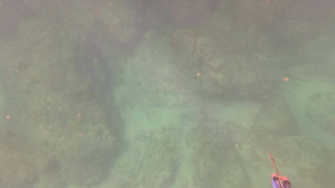 Large rounded rocks and darker algae patches sit under cloudy green-blue water in San Jose Del Cabo, Mexico, with no visible people.