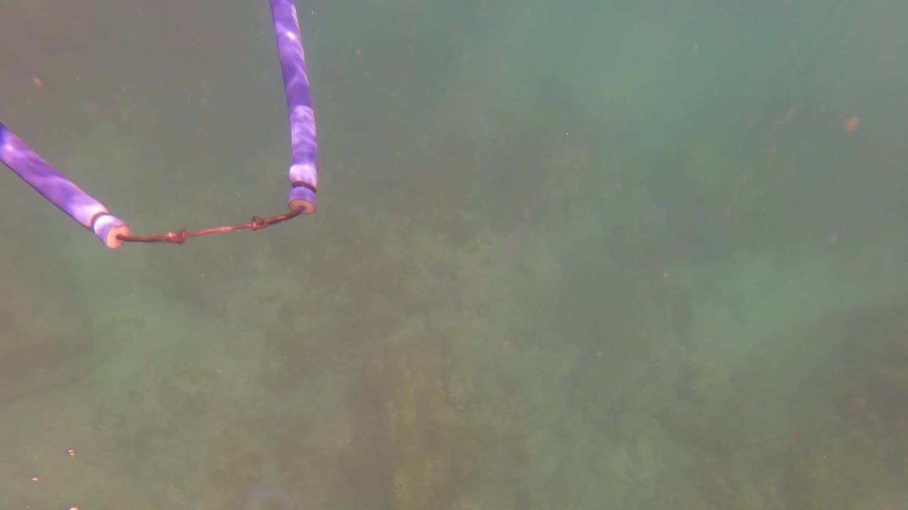 Purple rope stretches into frame underwater over a muted green seabed in San Jose del Cabo, with no visible people.