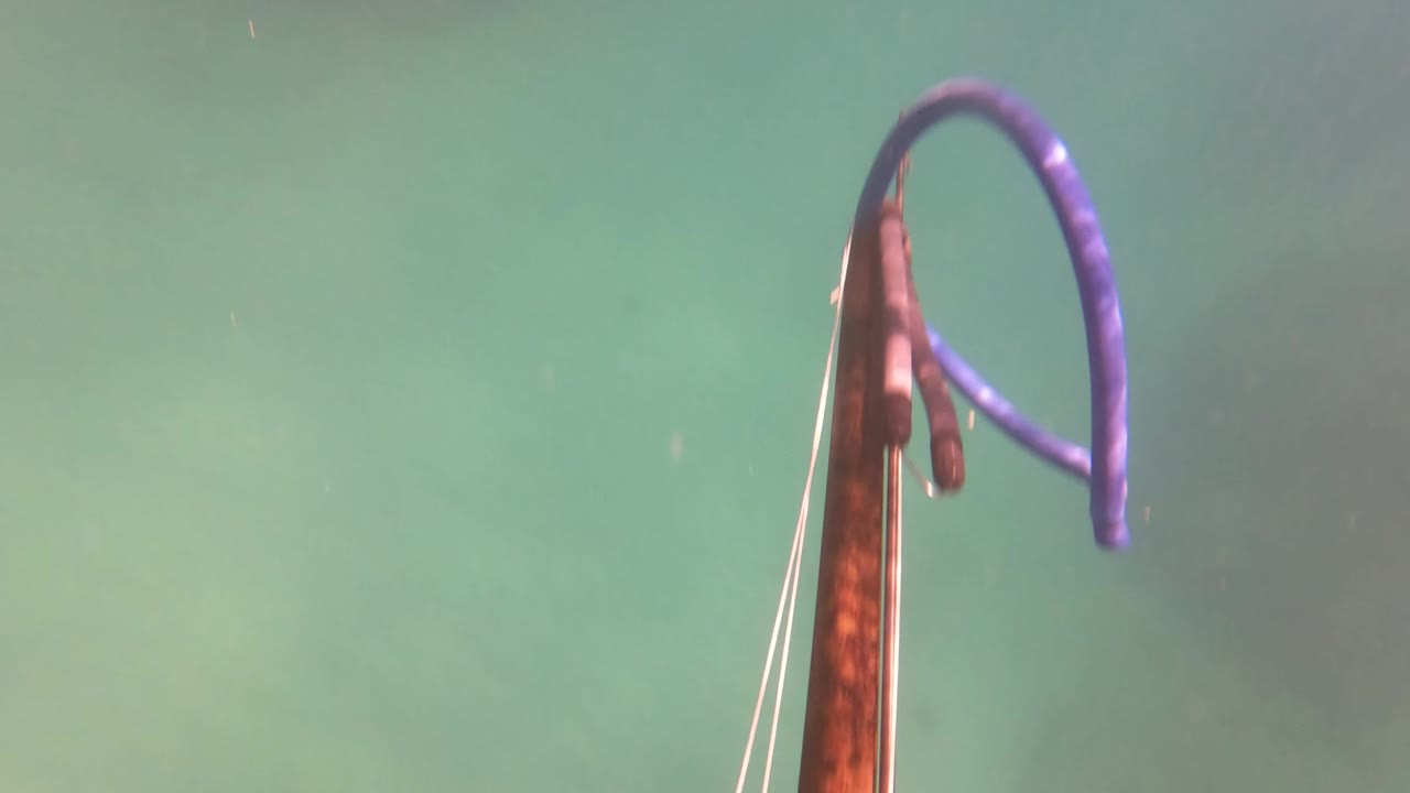 Rusted vertical structure and purple hose underwater in green water