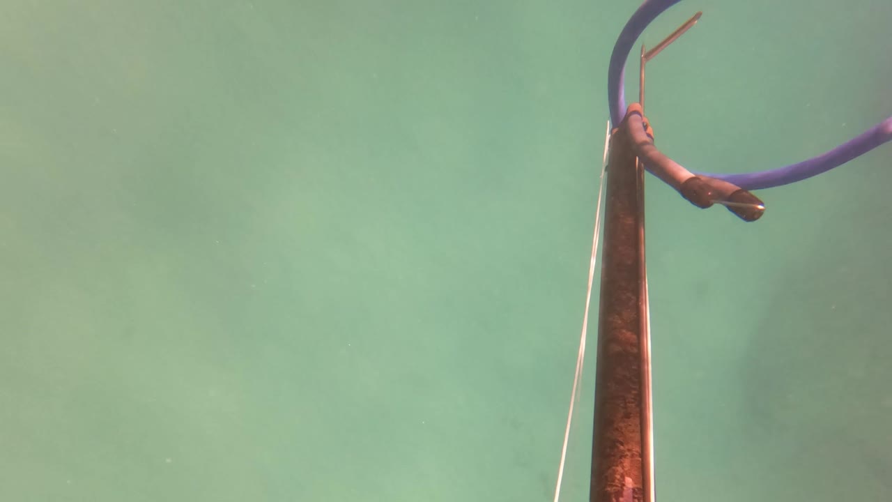 Purple-blue hose attached near a rusted vertical structure in green underwater light, framed tighter to the right in San Jose del Cabo with no visible people.