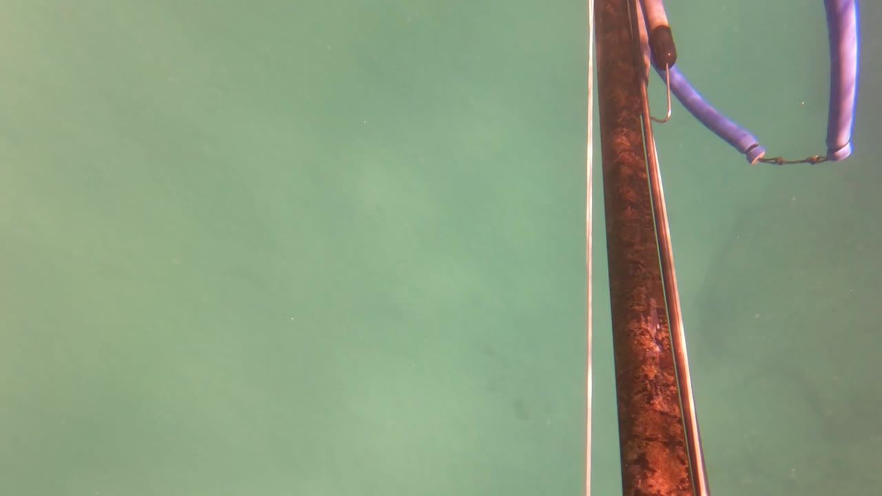 A rusted vertical pipe or structure and cropped purple-blue hose sit at the right side of green underwater frame in San Jose del Cabo, with no visible people.