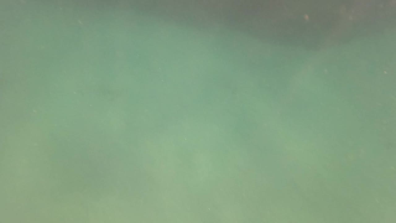 A mostly soft green underwater view in San Jose del Cabo shows suspended particles and faint shadowing, with no visible people.